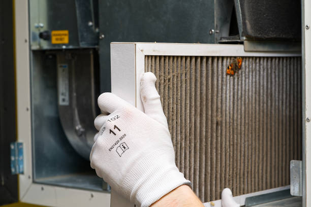 Best Professional Duct Cleaning Services  in Town Creek, AL